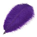 Análisis de las mejores plumas lila para lucir en tus sesiones de danza y baile