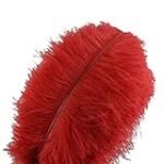 Análisis de las mejores plumas de avestruz para la danza y el baile: ¡Descubre cuál es la ideal para ti!