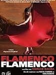 Análisis de los mejores productos para los distintos palos del flamenco