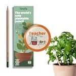 Análisis de los mejores productos de danza y baile recomendados por la profesora Sprout